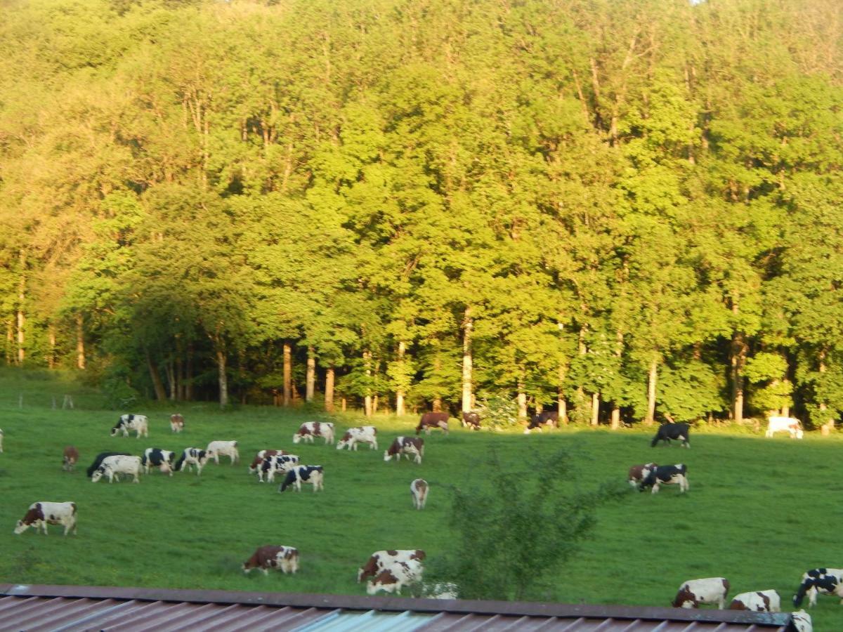 A La Source Du Saolon Bed & Breakfast Culmont ภายนอก รูปภาพ
